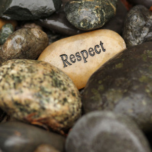 Photograph of respect rock amongst other larger rocks